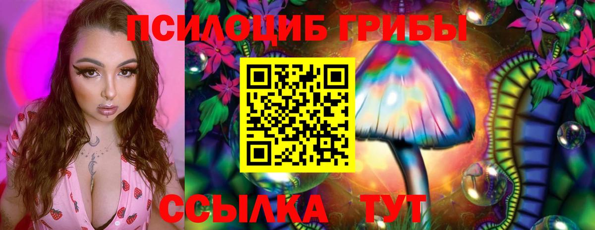 как найти закладки  Вход с VPN  Псилоцибиновые грибы Cubensis  Белореченск  Галлюциногенные грибы GOLDEN TEACHER 