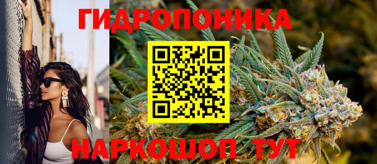Канабис семена Белореченск